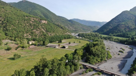 Stages d'été au Centre Équestre